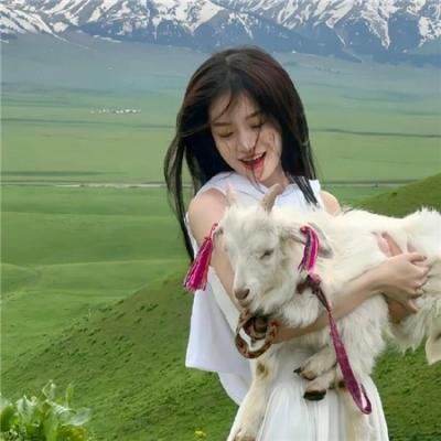 荒唐小混蛋奇遇记
